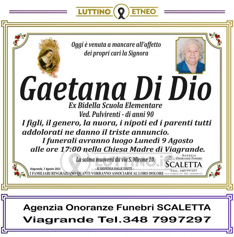 Gaetana  Di Dio 